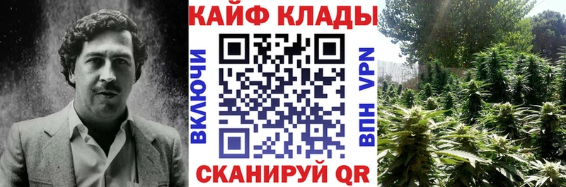 Виды наркоты Ачинск Псилоцибиновые грибы  СК  Гашиш  АМФЕТАМИН  КОКАИН  МАРИХУАНА 