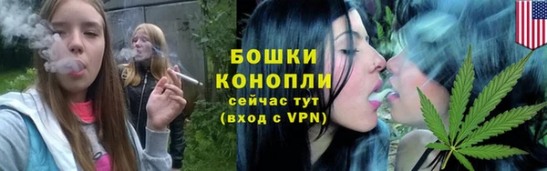 стафф Михайлов