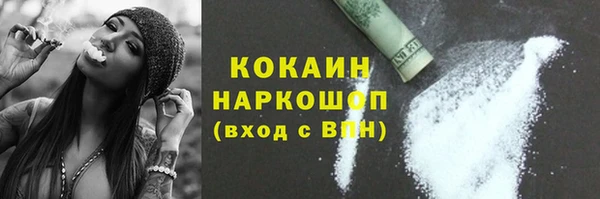 стафф Михайлов