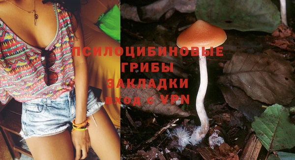 стафф Михайлов