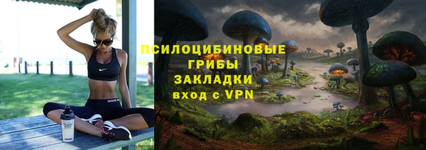гидра Михайловск