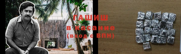 гидра Михайловск