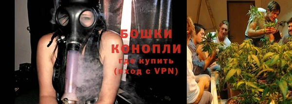 стафф Михайлов
