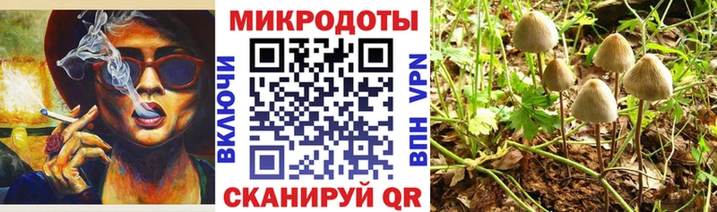 Псилоцибиновые грибы MAGIC MUSHROOMS  mega ССЫЛКА  Ачинск  дарнет шоп 